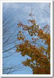 2008.10.25_8089