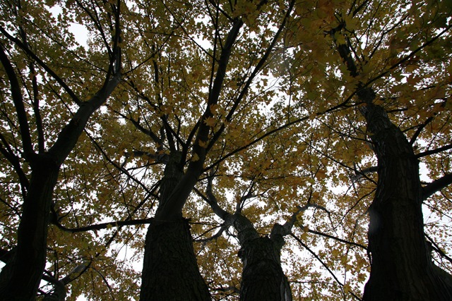[2008.10.25_8072[3].jpg]