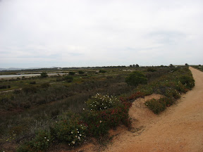 Het natuurpark