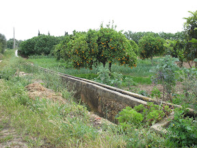 De natuur werd al groener