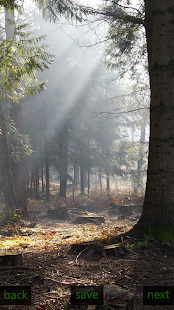 How to install Inspic Forest Wallpapers HD lastet apk for laptop