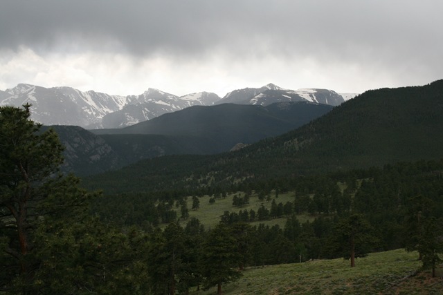 [IMG_42254.jpg]