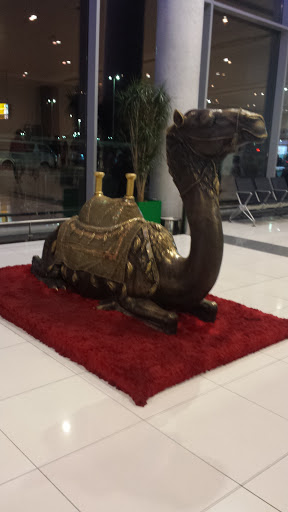 Camel in Bronze