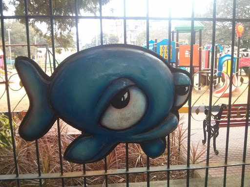 Blue Nemo