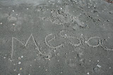 IMG_2225.JPG