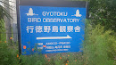 Gyotoku Bird Observatory