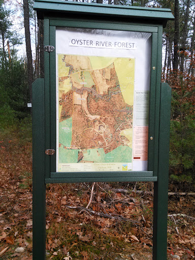 Oyster River Forest