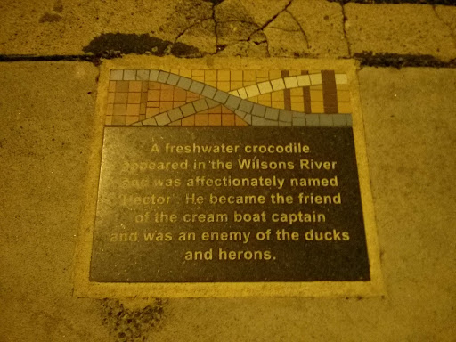 Town Fact Walk - Crocodile