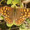 Malhadinha