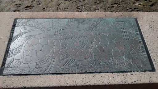 Green Sea Turtle Carving