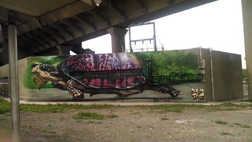 Mega Tortuga Graffiti 