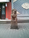 凶猛狮子Shizi Xiongmeng