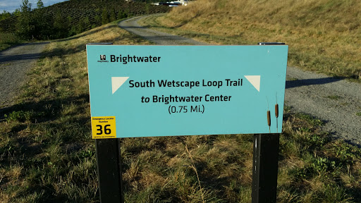 Brightwater Emergency Locator 36
