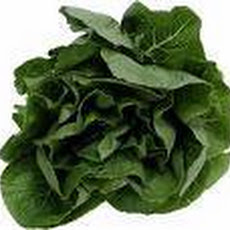 Spinach for the Kids