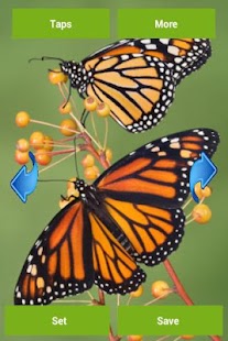 How to get Butterflies Wallpapers 2.0.0 mod apk for laptop