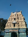 Sri Damodhara Perumal Kovil 
