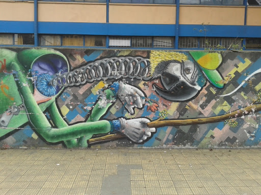 Mural Loro Resorte 