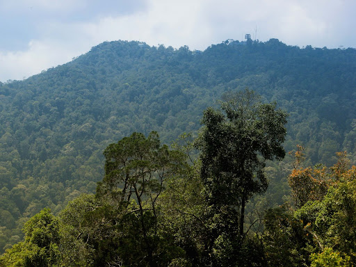 Western Hill