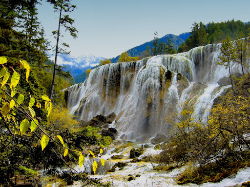 Pearl Beach Waterfall Pearl Beach Waterfall