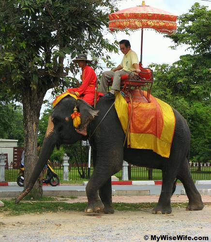 Elephant Ride Elephant Ride