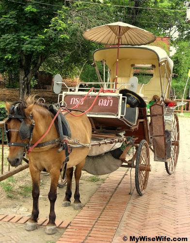 Elegant Horse Carriage Elegant Horse Carriage
