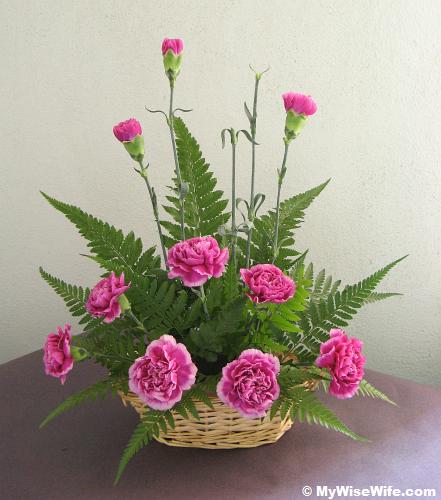 Primary flower - Voilet carnations Primary flower - Voilet carnations