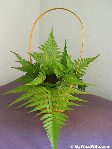 Front view - Leather ferns inserted Front view - Leather ferns inserted