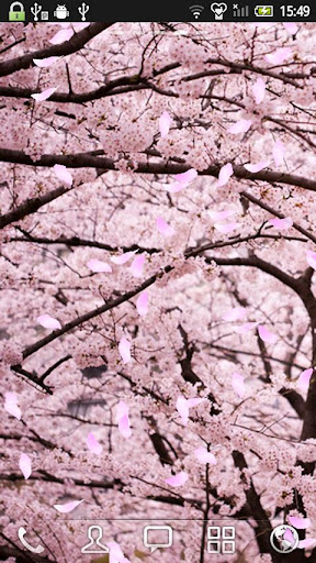 桜★LIVE壁紙