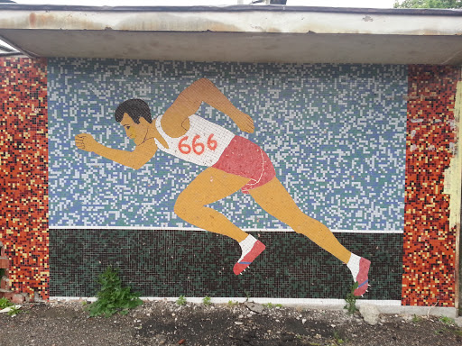 Mozaic Teren Sport Liceu Traian