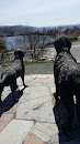 The Dogs of Newfoundland