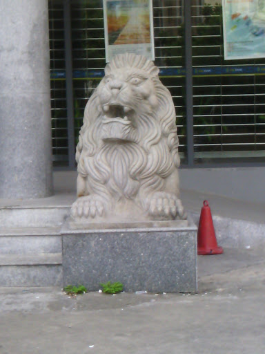 某银行前狮子