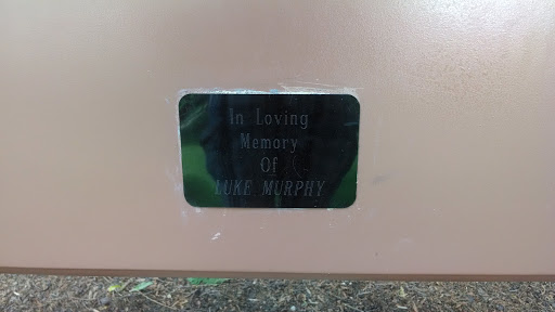 In Loving Memory of Luke Murphy