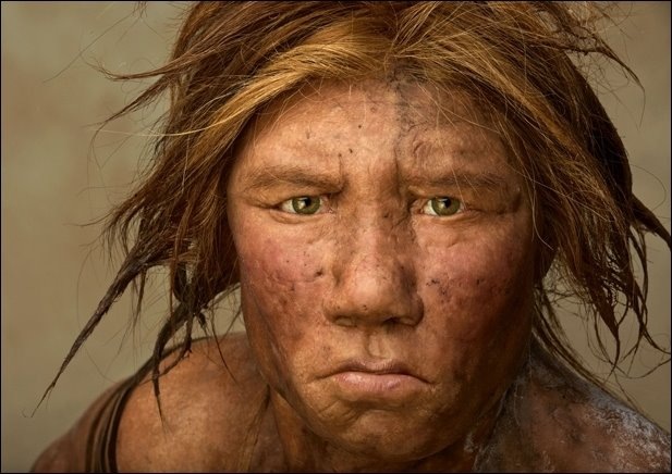 [neandertal-wilma[2].jpg]