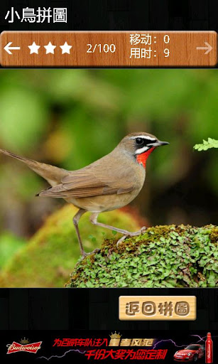 Birds jigsaw puzzle