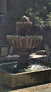 Fountain In Courtyard