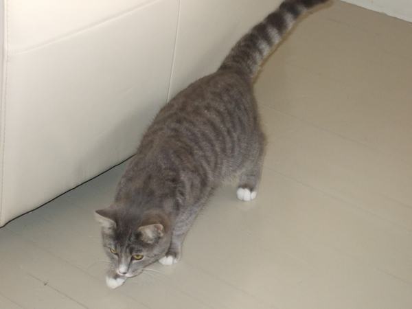 [vilja 002[3].jpg]