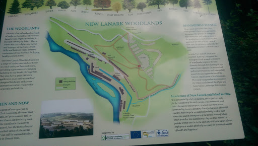 New Lanark Woodlands
