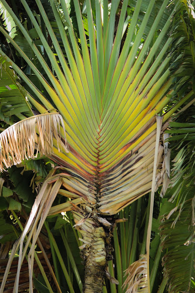 Spotting Image 1