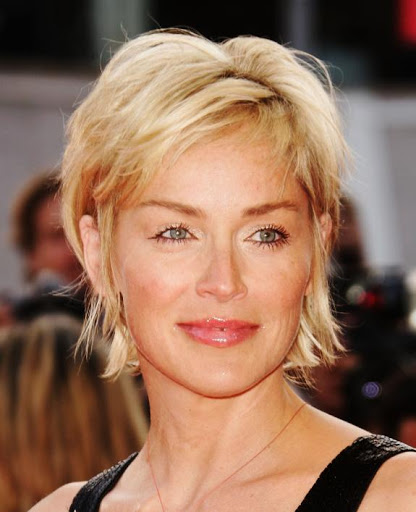 sharon_stone_h1