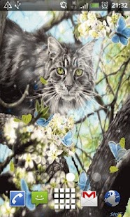 How to install Spring Cat Live Wallpaper lastet apk for android
