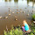 families-discovering1
