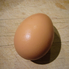 Chicken Milk Ice Cream