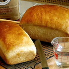 Simple Whole Wheat Bread