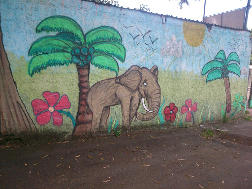 Elefante Na Selva