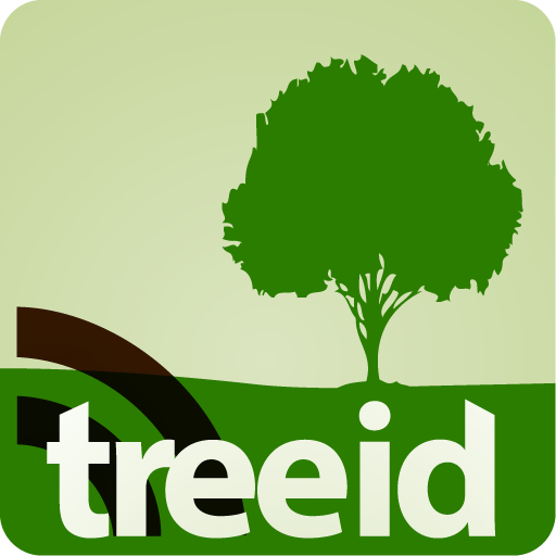 TreeID LOGO-APP點子