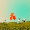 mustard fields.jpg