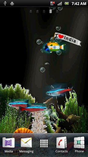 Bubbling Neon India Fish HD