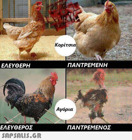 Κορίτσι ΕΛΕΥΘΕΡΗ ΠΑΝΤΡΕΜΕΝΗ Αγόρια ΕΛΕΥΘΕΡΟΣ  ΠΑΝΤΡΕΜΕΝΟΣ