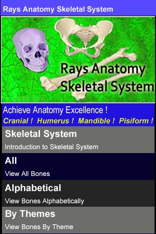 Rays Anatomy Skeletal System