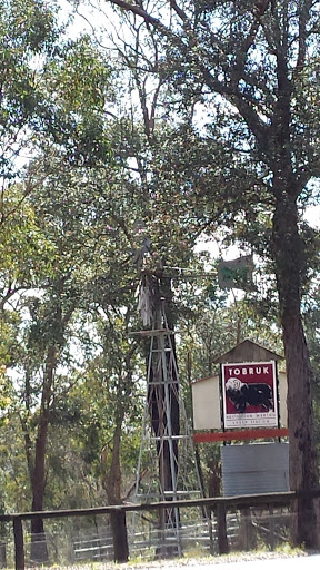 Tobruk Sheep Station Windmill